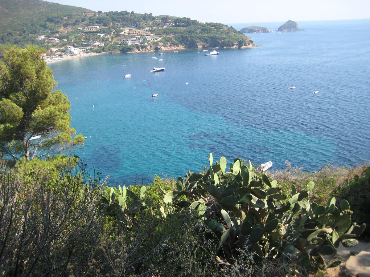 Mandel By Mandel Club 3*